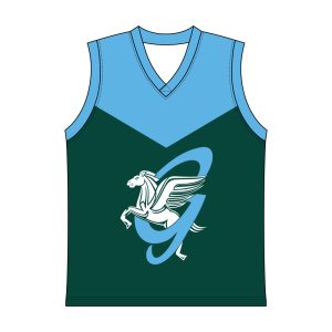 Training Football Jumper